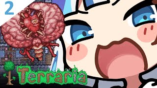 [TERRARIA] My Meaty Yo-yo